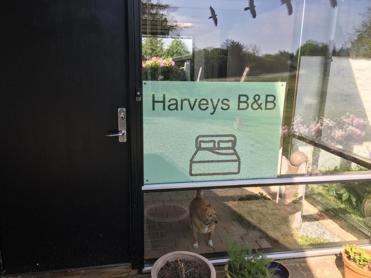 Harvey'S Bed & Breakfast Hjørring Exteriér fotografie